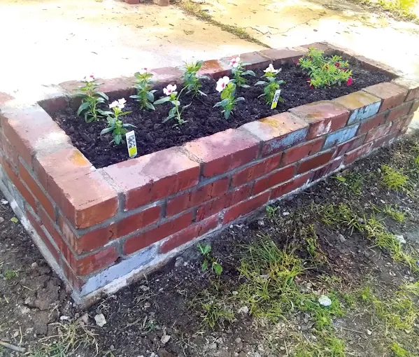 Brick raised garden bed with flowering plants